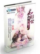 海贼之银狐大将